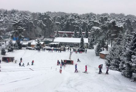 ski_winter ski_winter